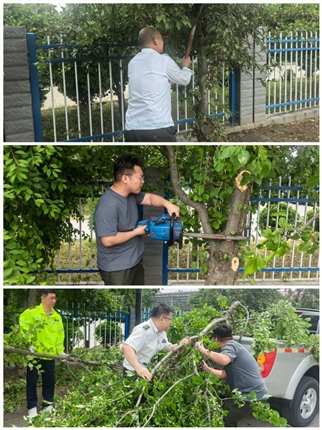 清理绿植.jpg 清理绿植.jpg